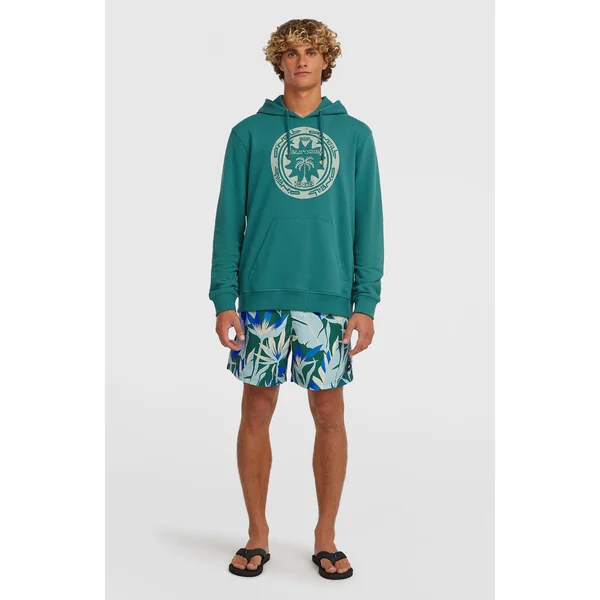 Sweat à capuche O'Neill Must-Have Graphic | Botanical Heat
