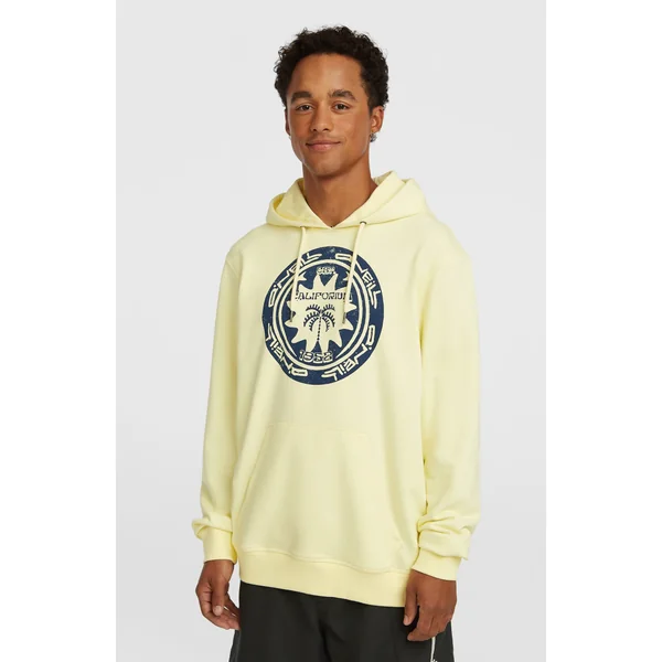 Sweat à capuche O'Neill Must-Have Graphic | Rainforest Dew