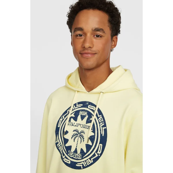 Sweat à capuche O'Neill Must-Have Graphic | Rainforest Dew
