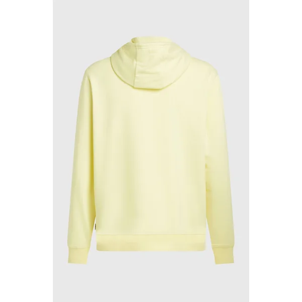 Sweat à capuche O'Neill Must-Have Graphic | Rainforest Dew