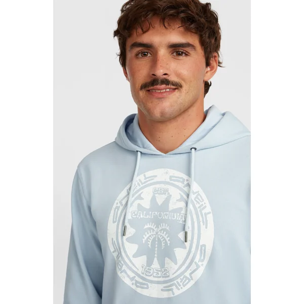 Sweat à capuche O'Neill Must-Have Graphic | Spindle