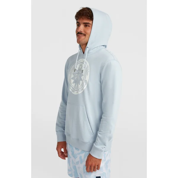 Sweat à capuche O'Neill Must-Have Graphic | Spindle