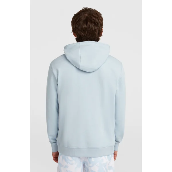 Sweat à capuche O'Neill Must-Have Graphic | Spindle