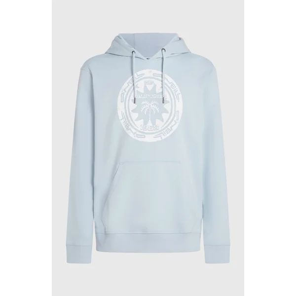 Sweat à capuche O'Neill Must-Have Graphic | Spindle