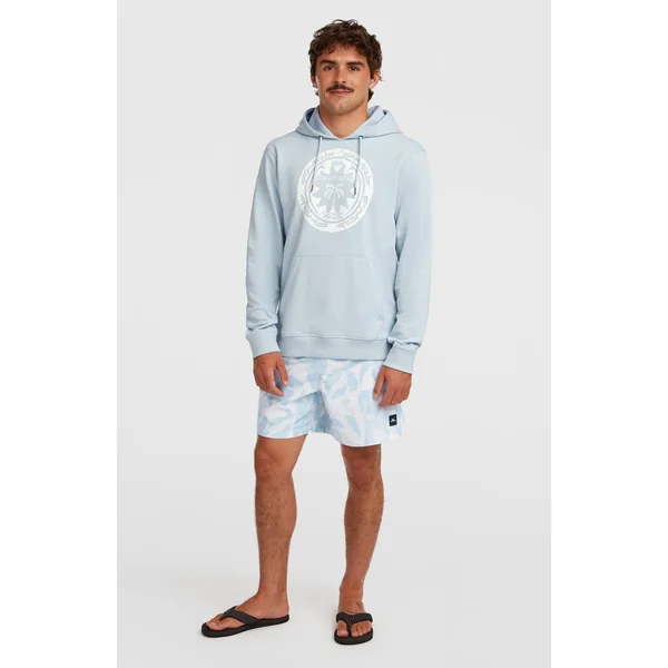 Sweat à capuche O'Neill Must-Have Graphic | Spindle