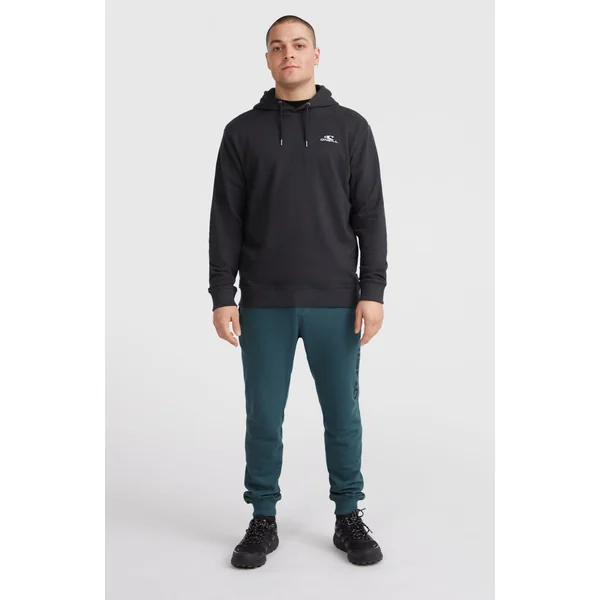 Sweat à capuche O'Neill Small Logo | Black Out