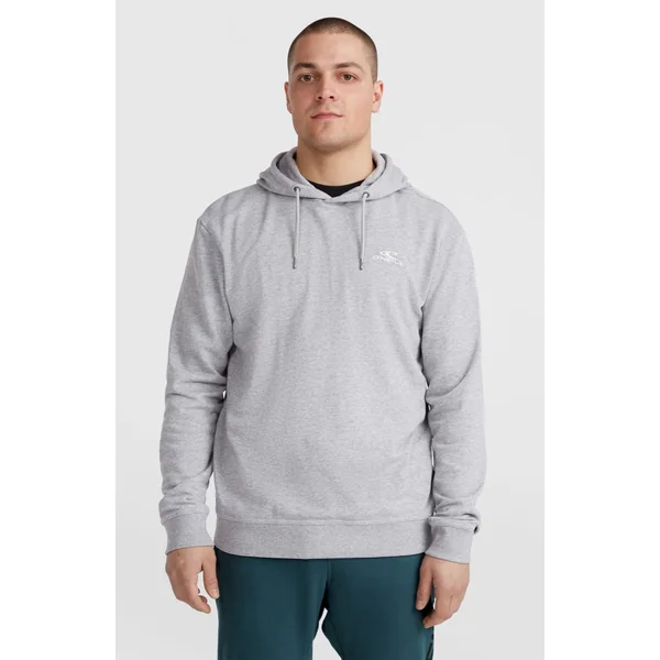 Sweat à capuche O'Neill Small Logo | Silver Melee