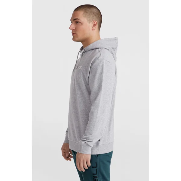 Sweat à capuche O'Neill Small Logo | Silver Melee