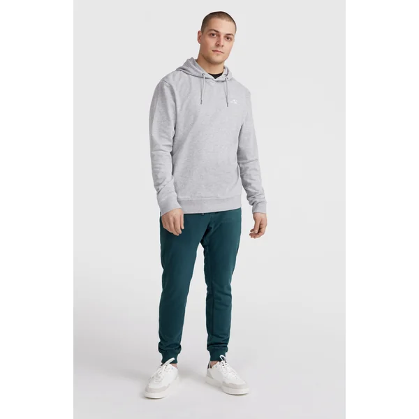 Sweat à capuche O'Neill Small Logo | Silver Melee