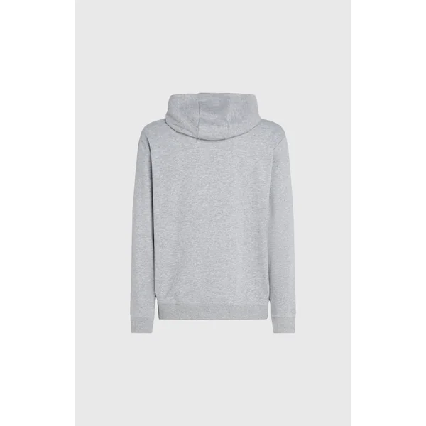 Sweat à capuche O'Neill Small Logo | Silver Melee