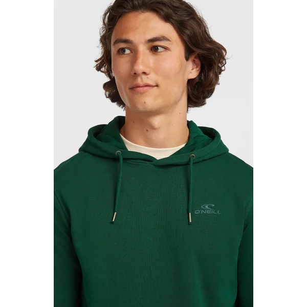 Sweat à capuche Small Logo | Emerald Envy