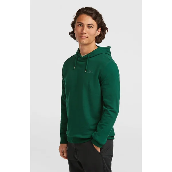 Sweat à capuche Small Logo | Emerald Envy