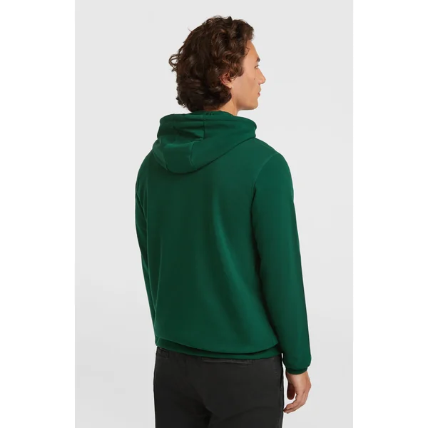 Sweat à capuche Small Logo | Emerald Envy