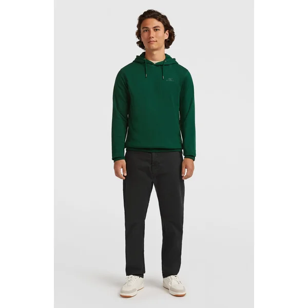 Sweat à capuche Small Logo | Emerald Envy