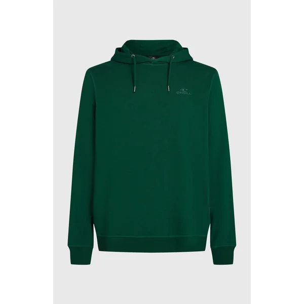 Sweat à capuche Small Logo | Emerald Envy
