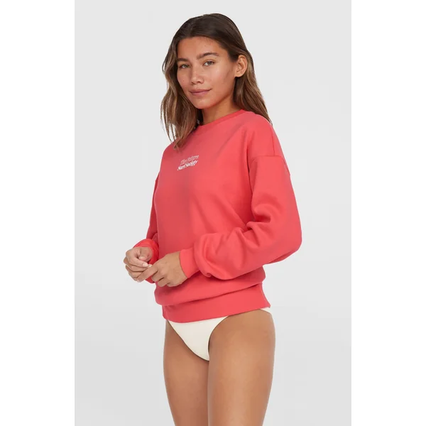 Sweatshirt Future Surf Crew | Froly