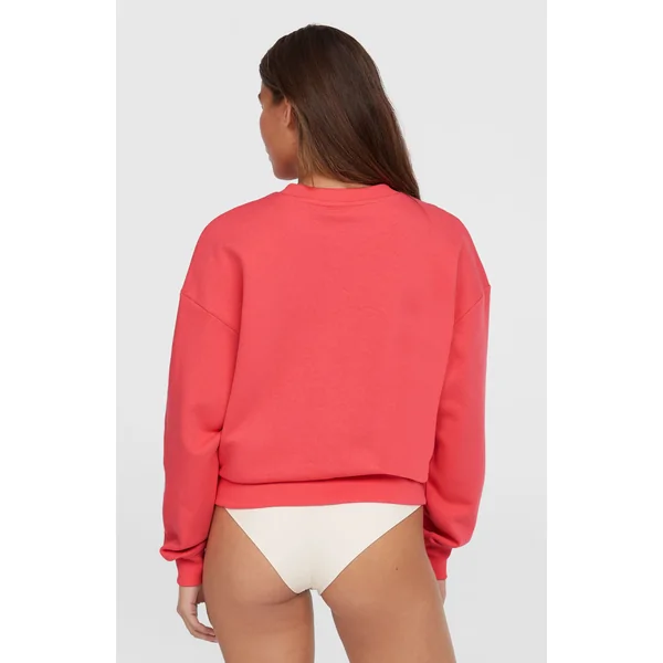 Sweatshirt Future Surf Crew | Froly