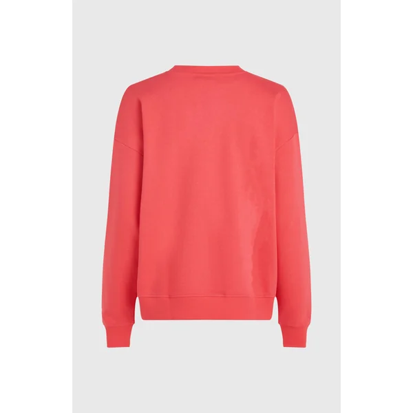 Sweatshirt Future Surf Crew | Froly