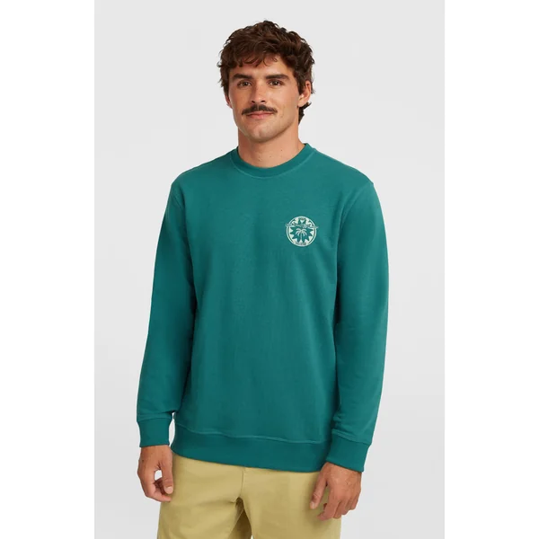 Sweatshirt O'Neill Must-Have Graphic Crew | Botanical Heat