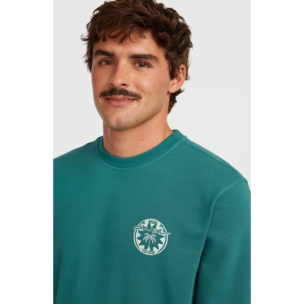 Sweatshirt O'Neill Must-Have Graphic Crew | Botanical Heat