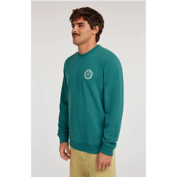 Sweatshirt O'Neill Must-Have Graphic Crew | Botanical Heat