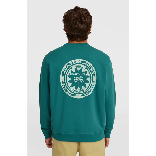 Sweatshirt O'Neill Must-Have Graphic Crew | Botanical Heat