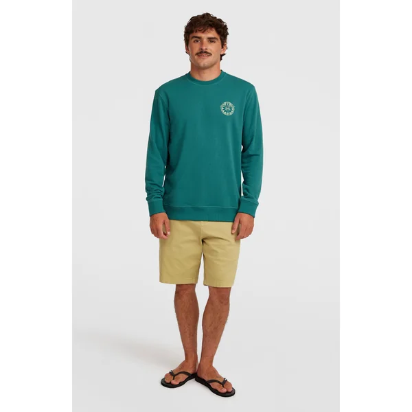 Sweatshirt O'Neill Must-Have Graphic Crew | Botanical Heat