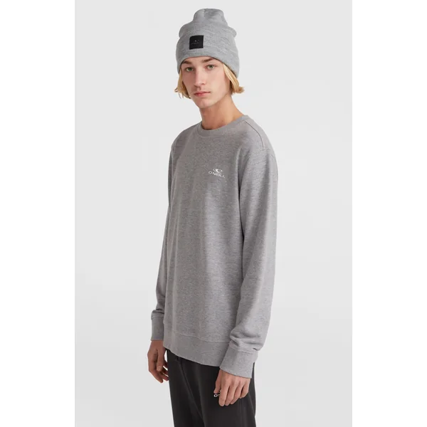 Sweatshirt O'Neill Small Logo Crew | Silver Melee