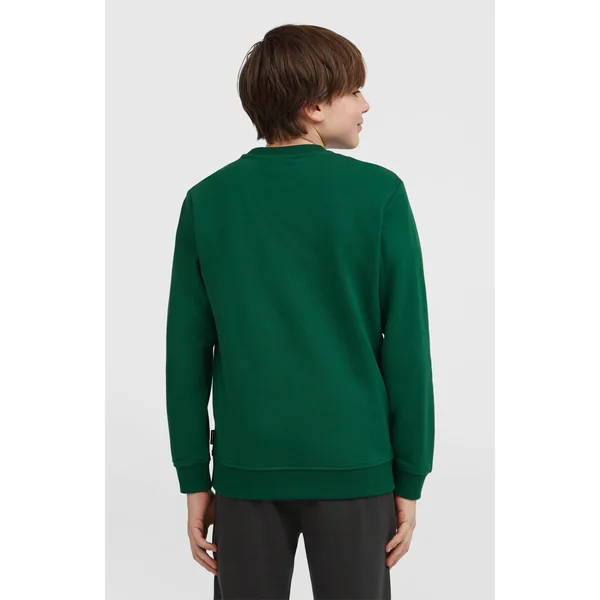 Sweatshirt à col rond Essentials | Emerald Envy