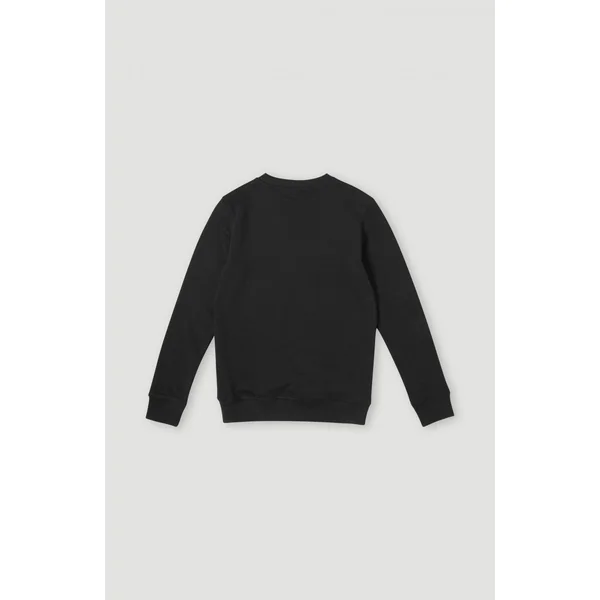 Sweatshirt à col rond O'Neill Logo | Black Out
