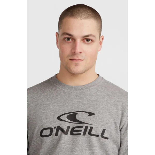Sweatshirt à col rond O'Neill Logo | Silver Melee