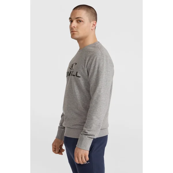 Sweatshirt à col rond O'Neill Logo | Silver Melee