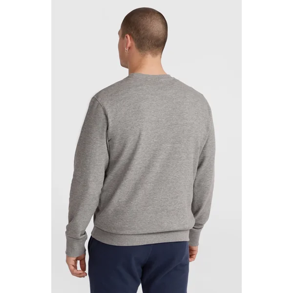 Sweatshirt à col rond O'Neill Logo | Silver Melee