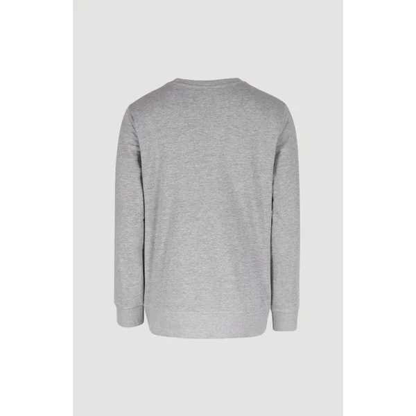 Sweatshirt à col rond O'Neill Logo | Silver Melee
