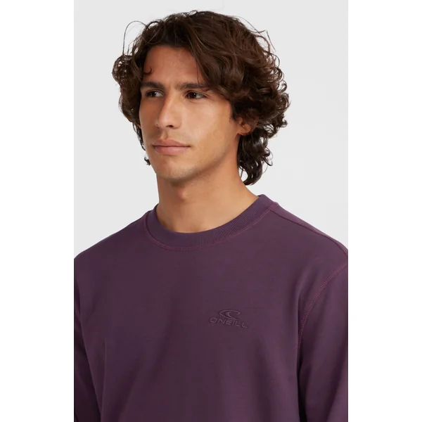 Sweatshirt à col rond Small Logo | Aubergine