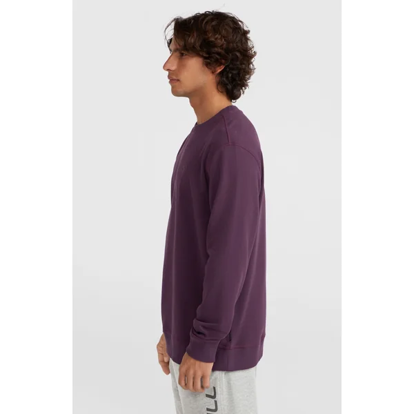 Sweatshirt à col rond Small Logo | Aubergine