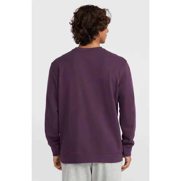 Sweatshirt à col rond Small Logo | Aubergine