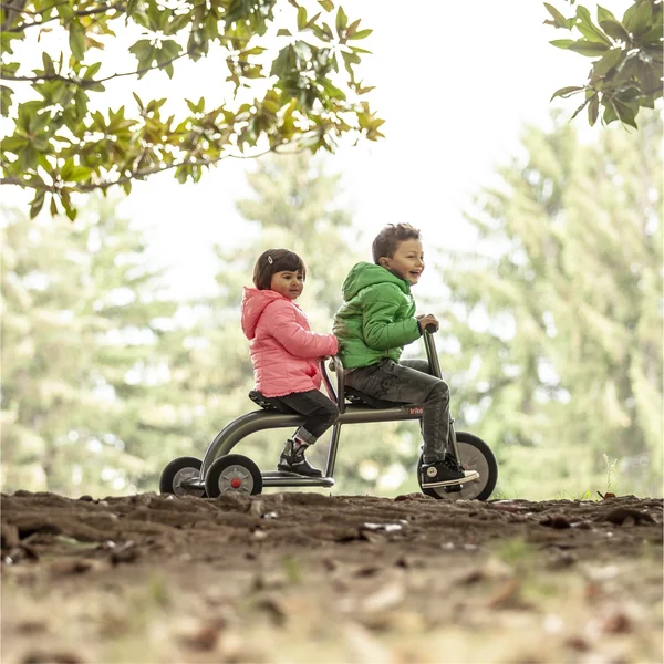 Tricycle Alutrike 2 places