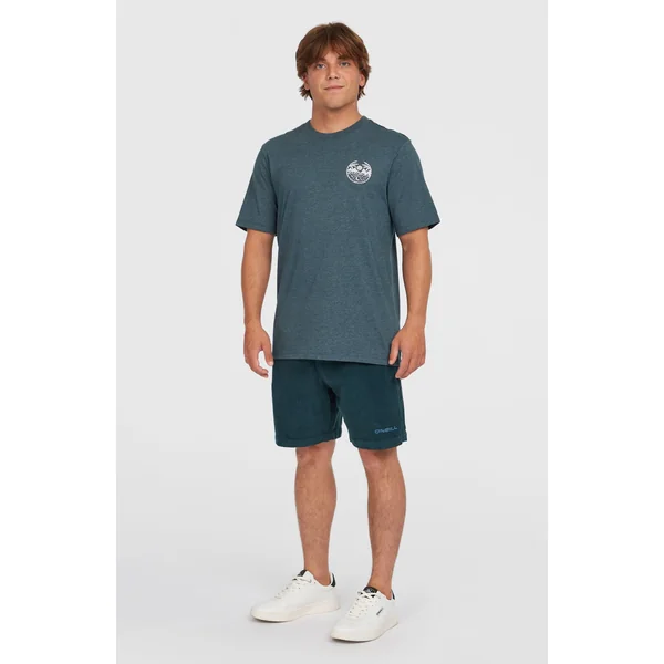 T-shirt Back Print | Alma Steel Melange