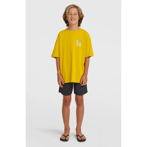 T-shirt Back Print | Angel Fern