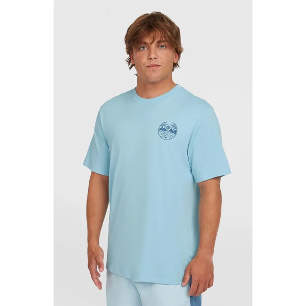 T-shirt Back Print | Morning Glory Melange