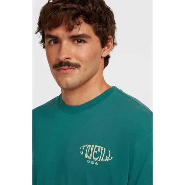 T-shirt Box Logo | Botanical Heat