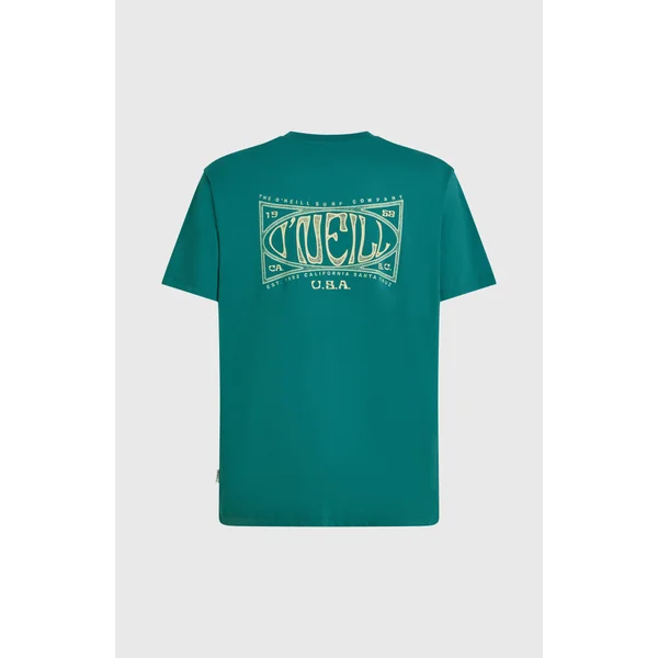 T-shirt Box Logo | Botanical Heat