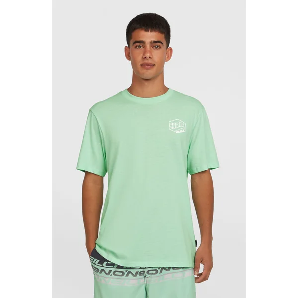 T-shirt Box Logo | Mildrew Mint