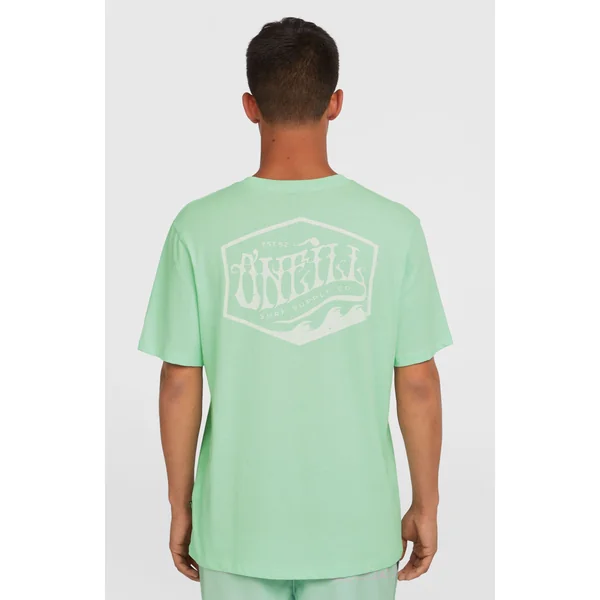 T-shirt Box Logo | Mildrew Mint