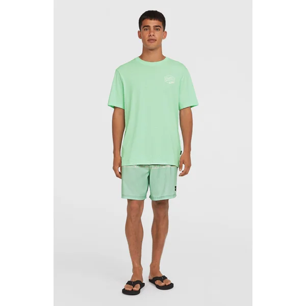 T-shirt Box Logo | Mildrew Mint