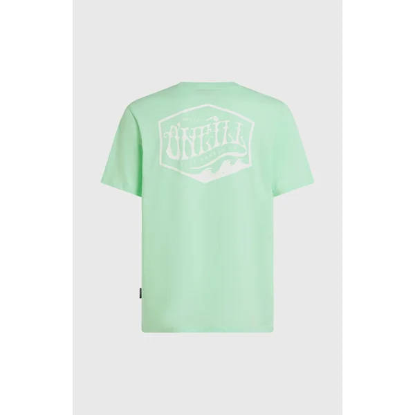 T-shirt Box Logo | Mildrew Mint
