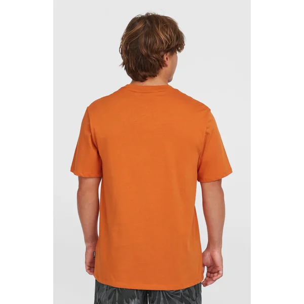 T-shirt Front Print | Cinnamon Stick