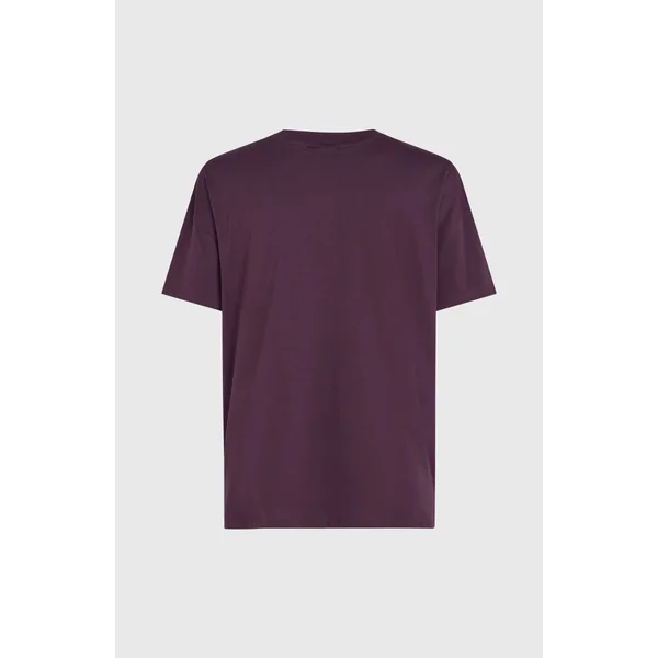 T-shirt Future Surf Society | Aubergine