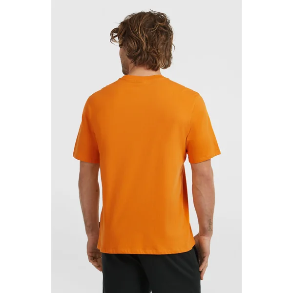 T-shirt Graphic | Mango Punch